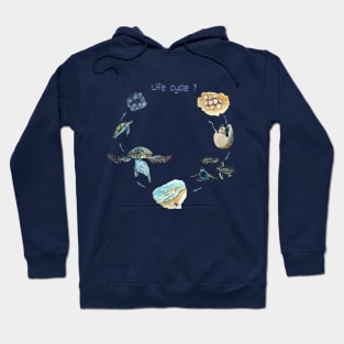 Sea turtle life cycle Hoodie